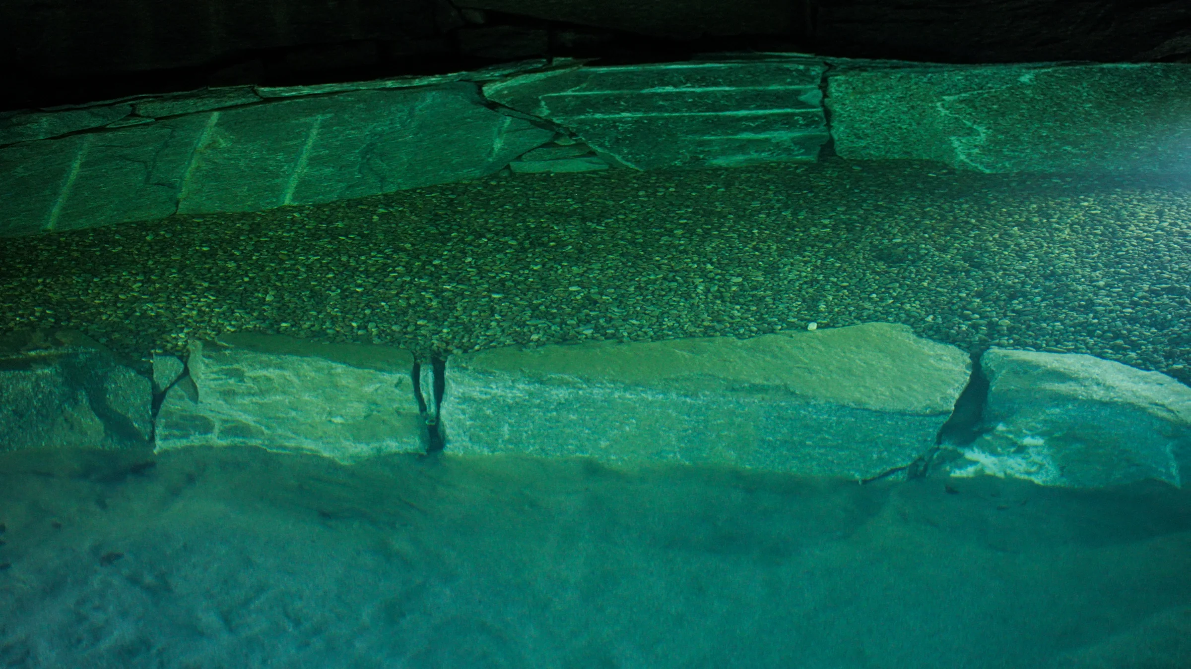 Piscina naturale Garda Natural Pools Design, dettaglio 01