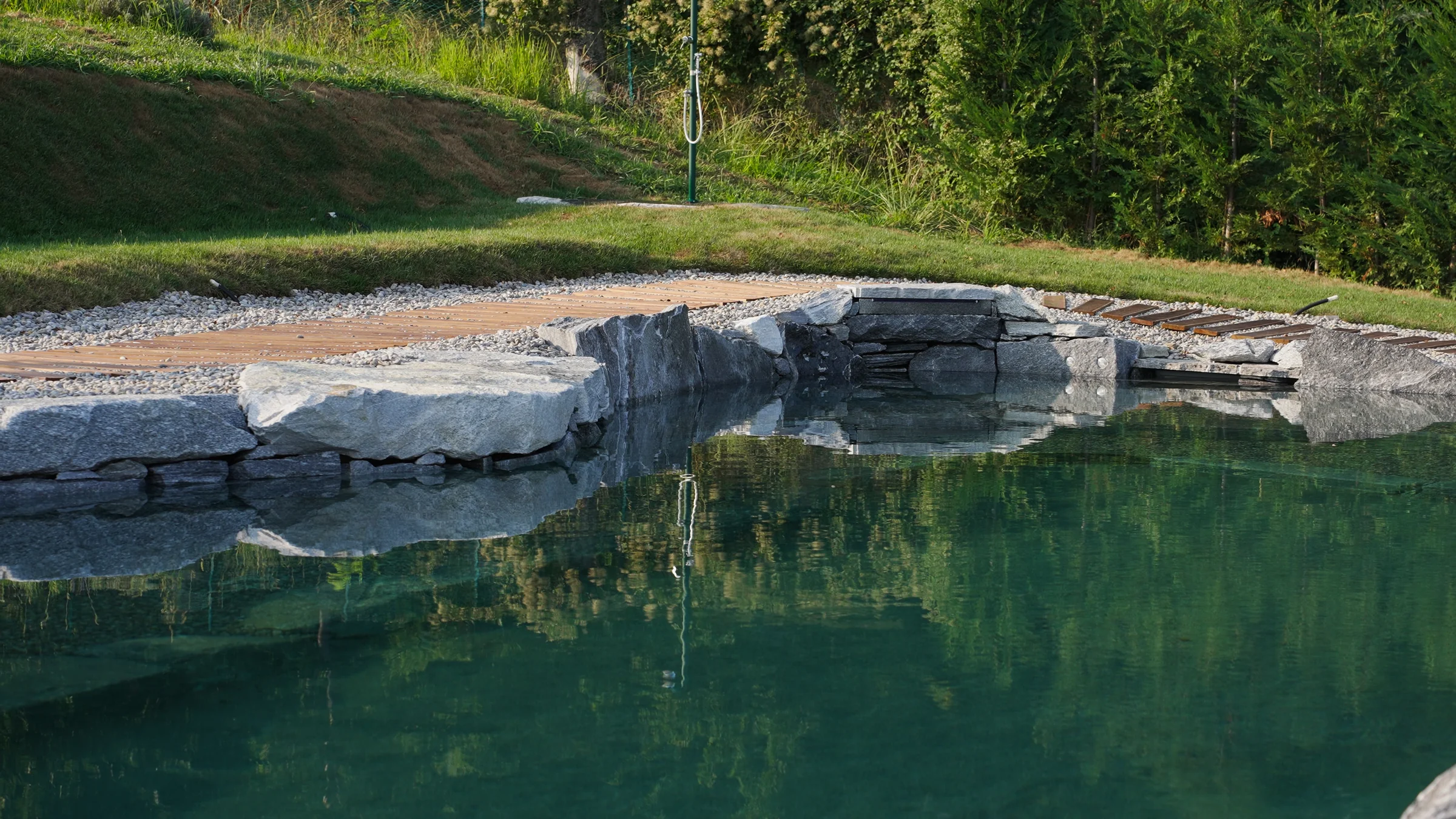 Dettaglio piscina naturale immersa nel verde